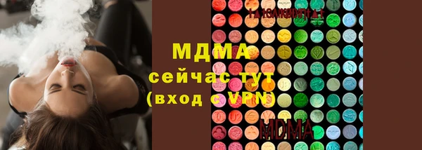 шишки Богданович