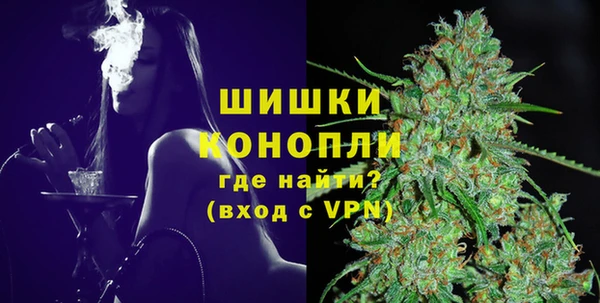 шишки Богданович